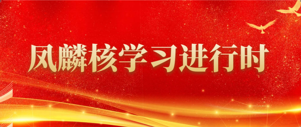 凤麟核学习进行时：以“十年磨一剑”的坚定决心，加快推进高水平科技自立自强